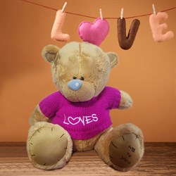 Мишка Тедди "Me to you" ST3 - фото 10693