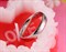 Кольца для влюбленных "Real love" E1010 - фото 10882