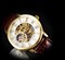 Часы мужские скелетоны Forsining механические white with gold U8073 - фото 13710